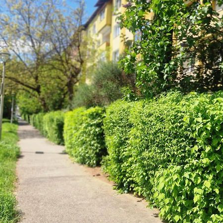 University Apartment Baia Mare Exterior photo